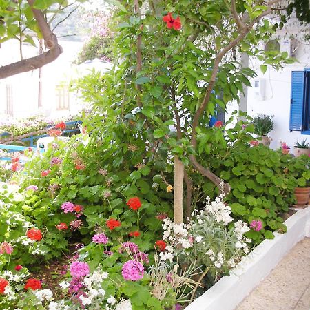 Hotel Hariklia Agia Galini  Bagian luar foto