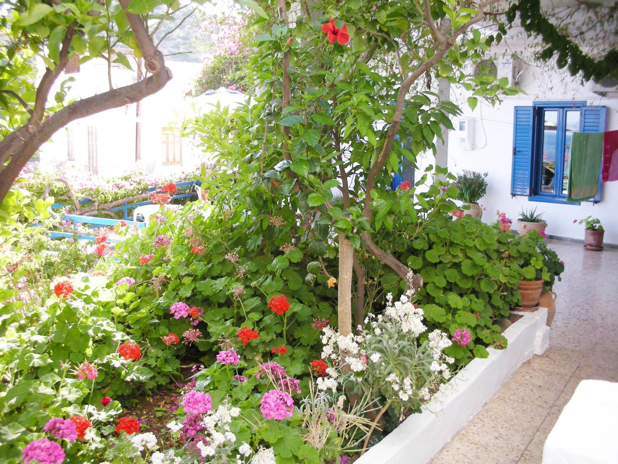 Hotel Hariklia Agia Galini  Bagian luar foto